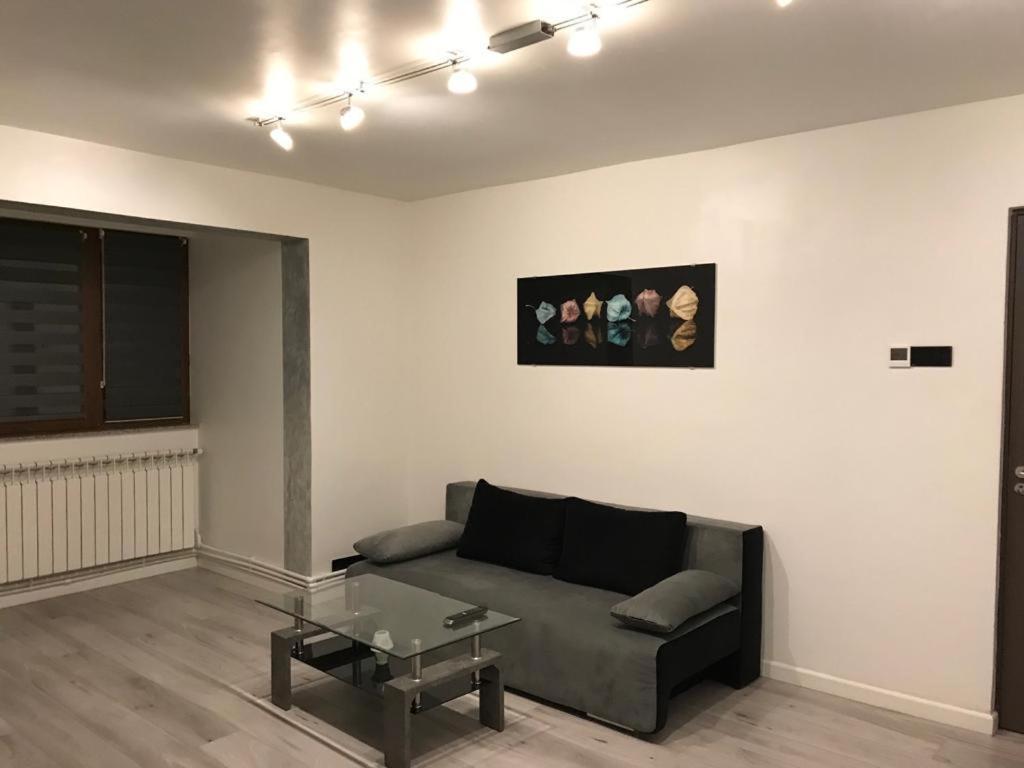 Elegant & Silver Luxury Apartament Craiova Exterior foto